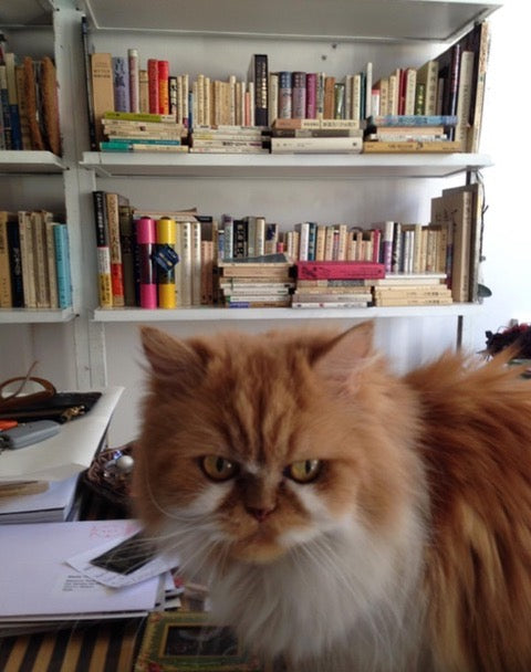 image from lading page